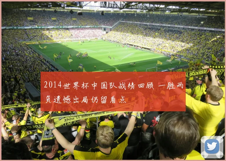 2014世界杯中国队战绩回顾 一胜两负遗憾出局仍留看点