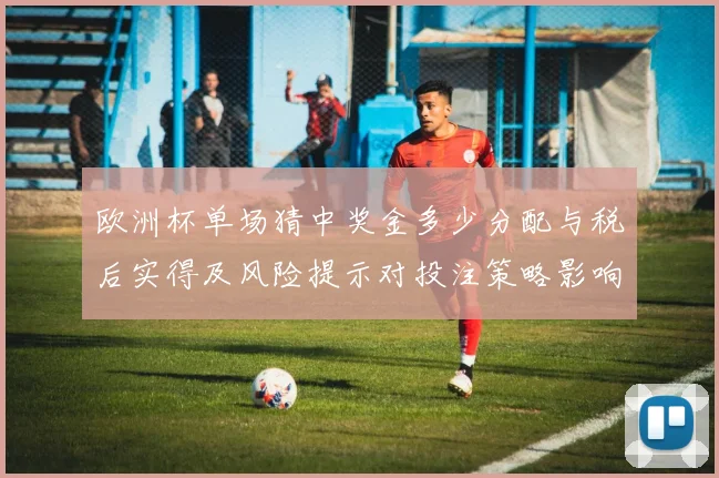 欧洲杯单场猜中奖金多少分配与税后实得及风险提示对投注策略影响