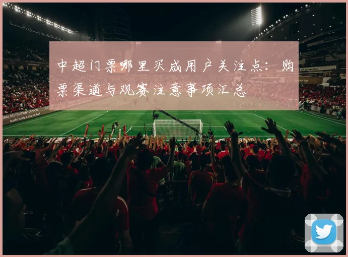 中超门票哪里买成用户关注点：购票渠道与观赛注意事项汇总