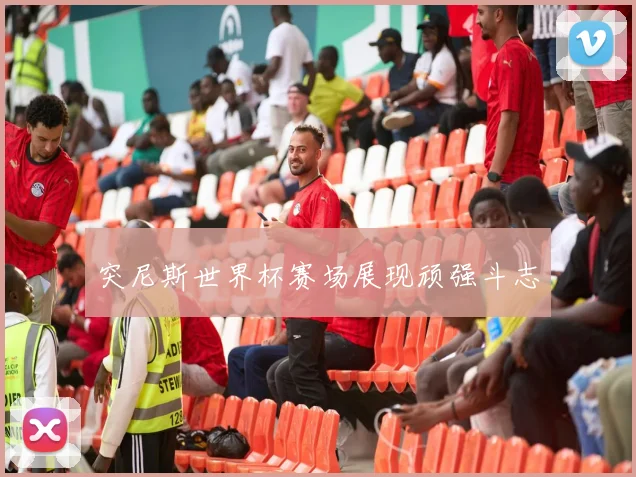 突尼斯世界杯赛场展现顽强斗志
