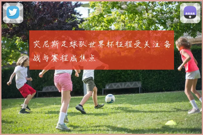 突尼斯足球队世界杯征程受关注 备战与赛程成焦点