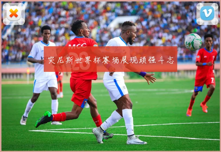 突尼斯世界杯赛场展现顽强斗志
