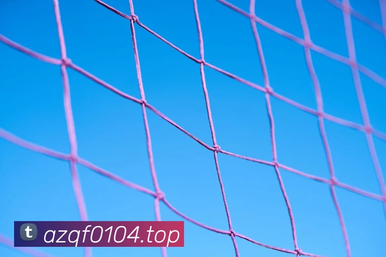 to1体育官网登录入口全站App